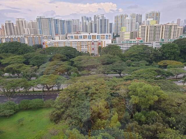 Master Room @ Tiong Bahru . Expats Unit. Virtual Viewing Available !