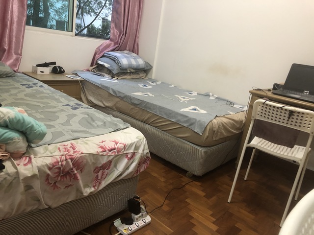 Shared room next to NUS (Clementi, Science park, Dover)