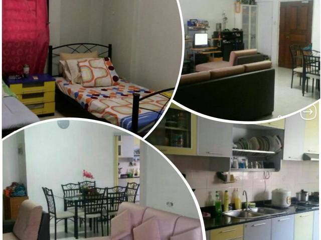 LADY Bedspacer at Sengkang (No agent Fee)