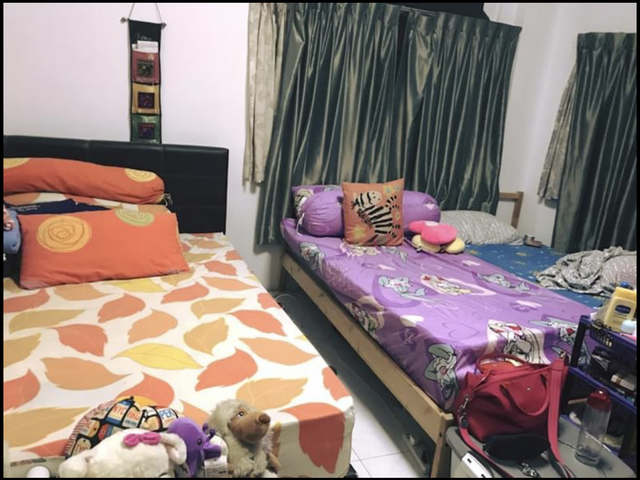 were looking for one female room mate