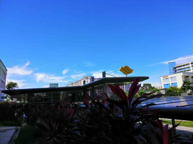 New Common Room $700 @ Blk450D Tampines East Mrt 4min Only!