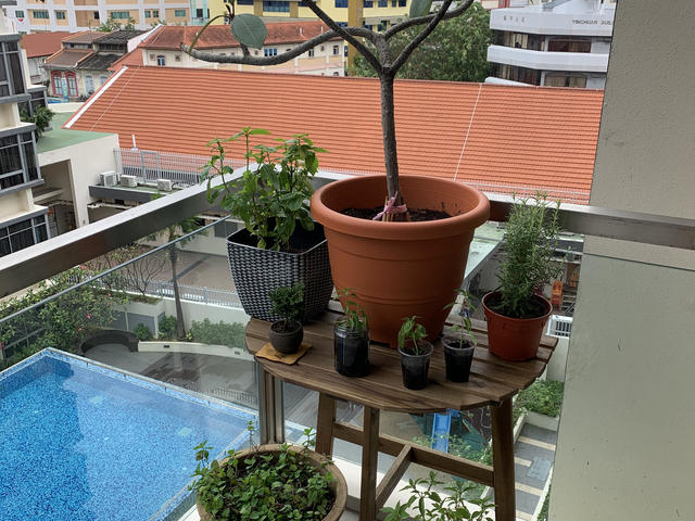 Spacious room with pool view & new mattress @Aljunied (all-inclusive); bright, quiet; no agent fee