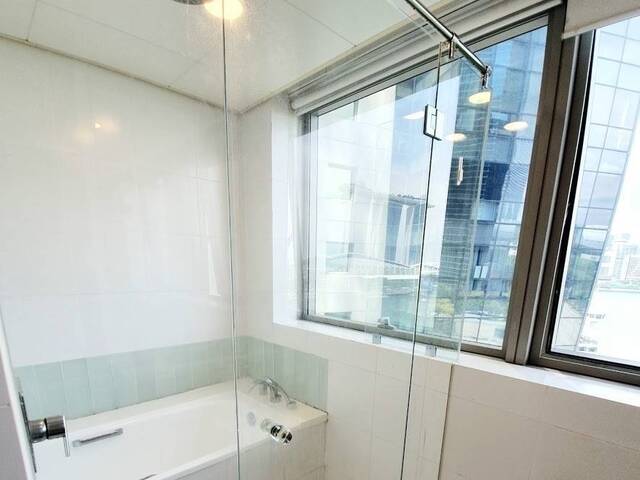 Expats Unit - Newly Furnish Big Master Room - Downtown / Raffles place