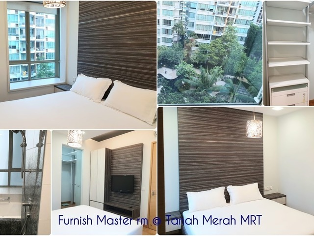 Tanah Merah Mrt - Big En-suite Master Room