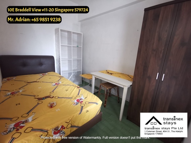 Caldecott MRT /Pool /Gym Condo -10E Braddell View