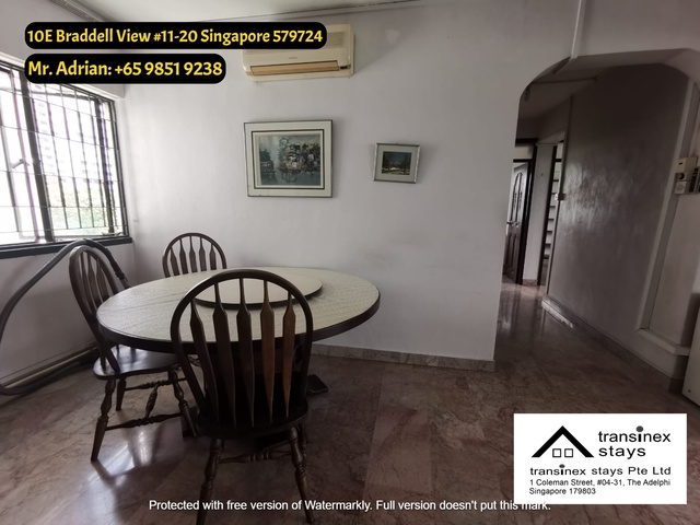 Caldecott MRT /Pool /Gym Condo -10E Braddell View