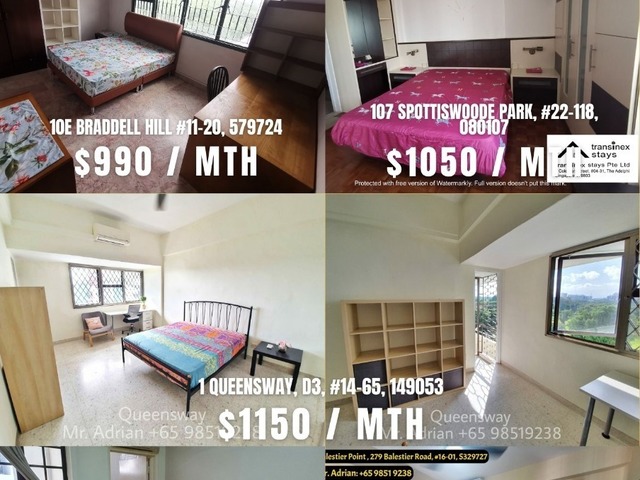 Caldecott MRT /Pool /Gym Condo -10E Braddell View