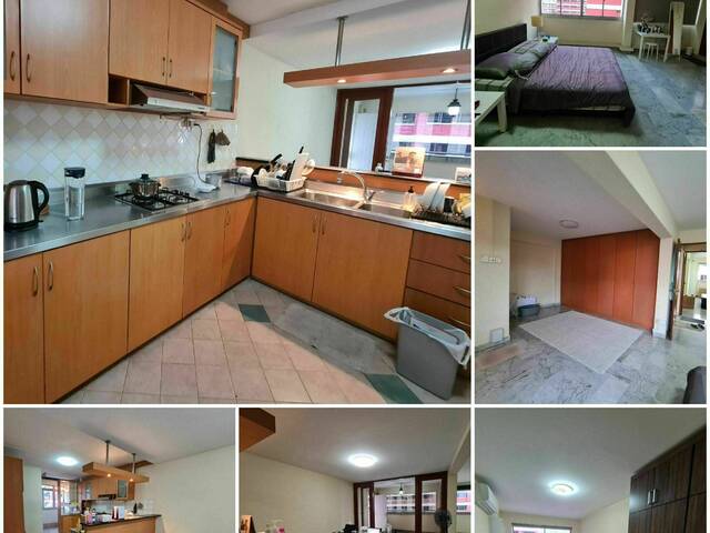 Rental $4,000/month 2 bedroom HDB 5A apt near Beauty World MRT