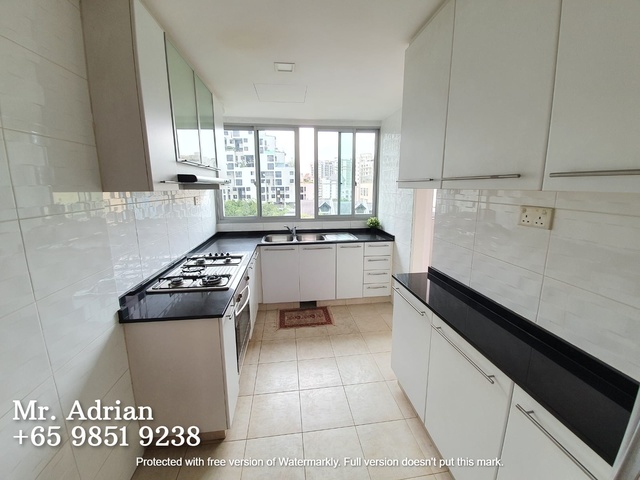 Farrer Park MRT Pool Condo - Scenic Heights