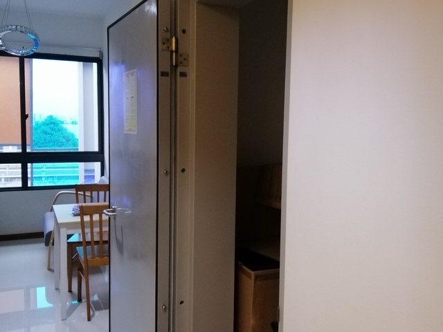 Studio/One Bedroom Unit in Dual Key Penthouse at Serangoon