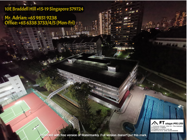 Immediate Available/ Near Braddell MRT/Marymount MRT/Caldecott Gym Pool Tennis Condo - Braddell View