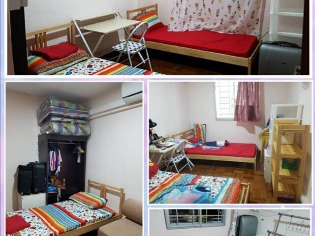 Flash $1150 - Housemate for AMK Ave 10!