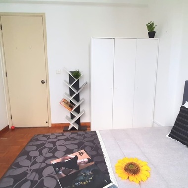 Just right opposite Tiong Bahru MRT - Queen Room for Rent .