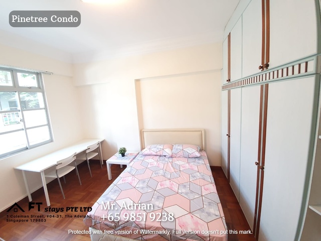 Newton MRT/Near Orchard MRT/Stevens MRT/Pinetree Condo /Available 10 Feb