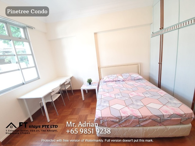 Newton MRT/Near Orchard MRT/Stevens MRT/Pinetree Condo /Available 10 Feb