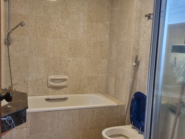 Luxurious space for 1-br unit with service yard and walk-in wardrobe
