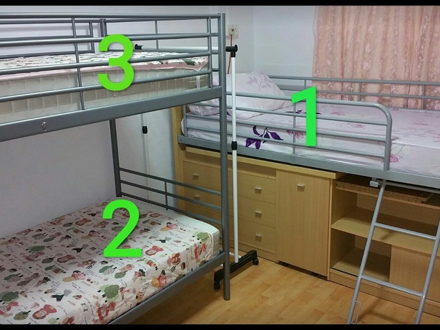 ●LADIES BEDSPACES● @ BUONA VISTA MRT(near A*STAR, NUS, SIM, NUH, SP, ESSEC, MDIS, BIOPOLIS@1-NORTH)