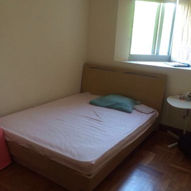 2 room rafflesia condo fully furnished