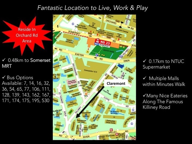 Bright with Large Window Panels | Somerset MRT 5 Min Walk | Gorgeous & Spacious