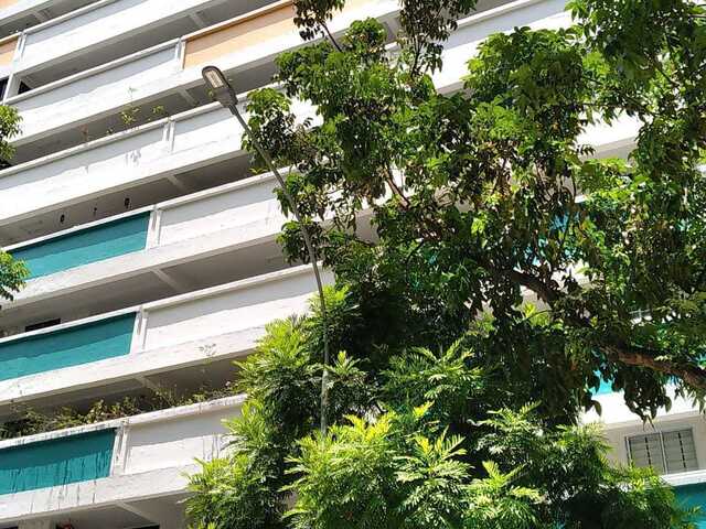 8 Minutes to Yishun Mrt, 3 room HDB for rent
