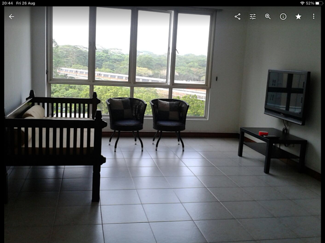Castle Green Condo. 3 Bedrooms+Maid's room+3 toilets. No Agent Fee. Near 2 MRT. Spacious, Cozy Home.