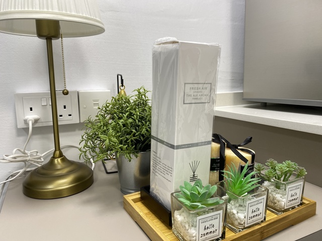 Studio room with kitchen attached (common room)