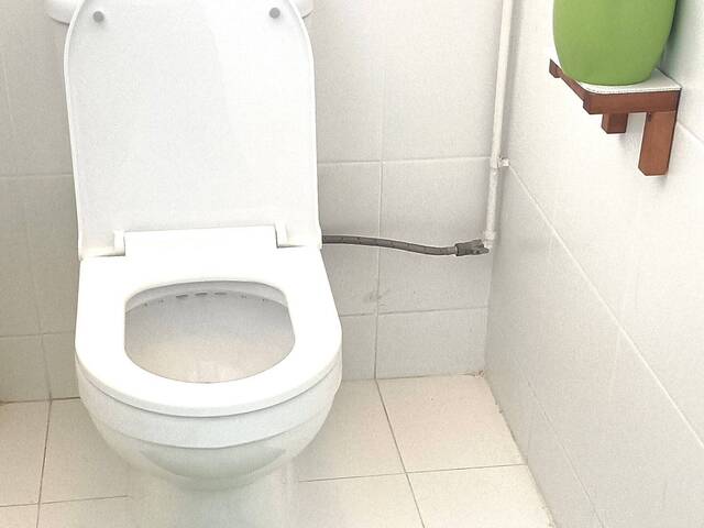 ✨ A cozy Super Single Room in a peaceful, convenient location – ideal for students or professionals.