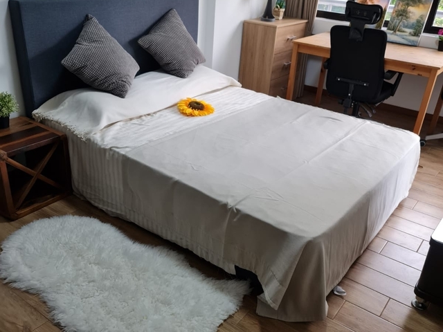 Outdoor Balcony En-suite Master Bedroom - Tiong Bahru MRT