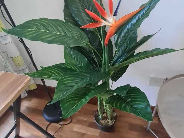 Capstone Co-Living. Tastefully Furnished. Don't Miss! Come and See it