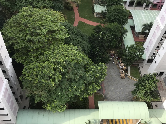 SPACIOUS COMMON ROOM(WIFI/AC/FURNISHED)-687B Choa Chu Kang Drive - No Agent Fee - Hurry & Grab!!