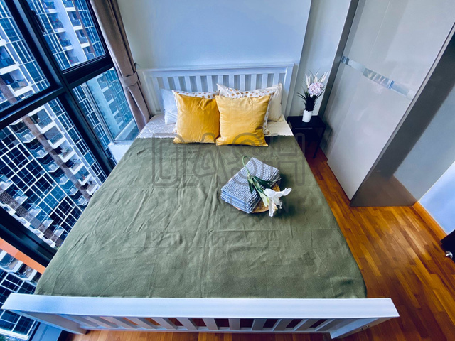 Dash @ The Clement Canopy