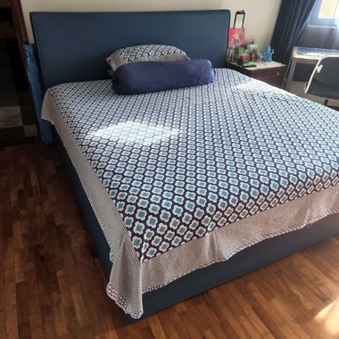 Master Bedroom with attached bathroom in Condo close to Mapletree and NUH