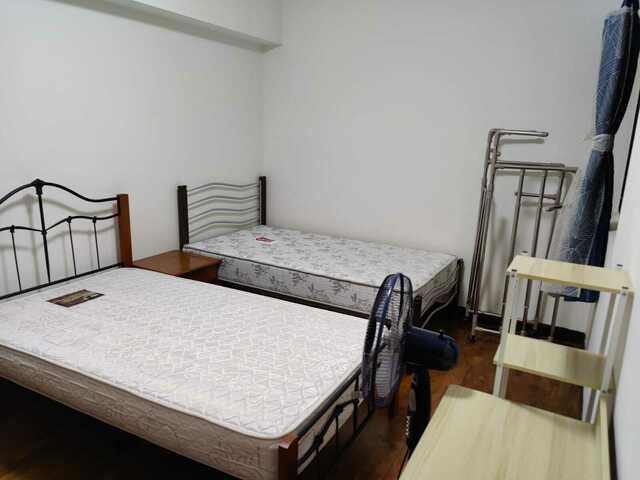 Windy, Clean and Bright Room on top floor