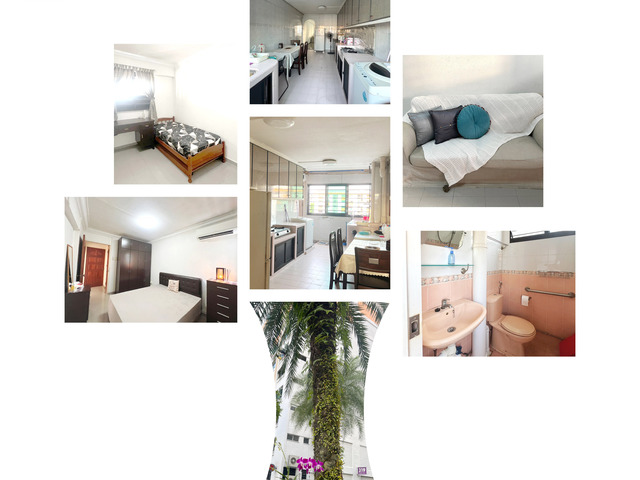 Whole Unit @Clementi Ave 4 (Blk 319)
