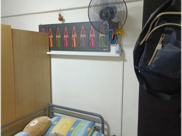 金文泰Clementi 有房出租两人一起房(只限女性)