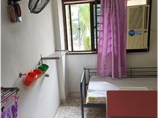 金文泰Clementi 有房出租两人一起房(只限女性)