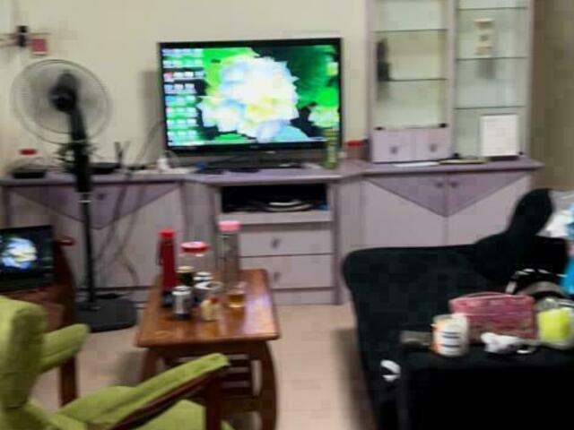 Blk 211 Pasir Ris Street 21 4A Room HDB Whole Flat for Rent