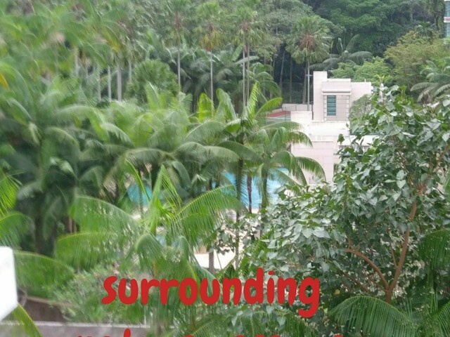 Hillview Condo Room for rent: Single or Twin sharing