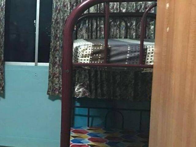 Looking for Adult Any Race