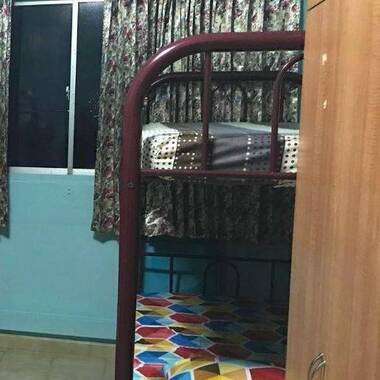 Looking for Adult Any Race