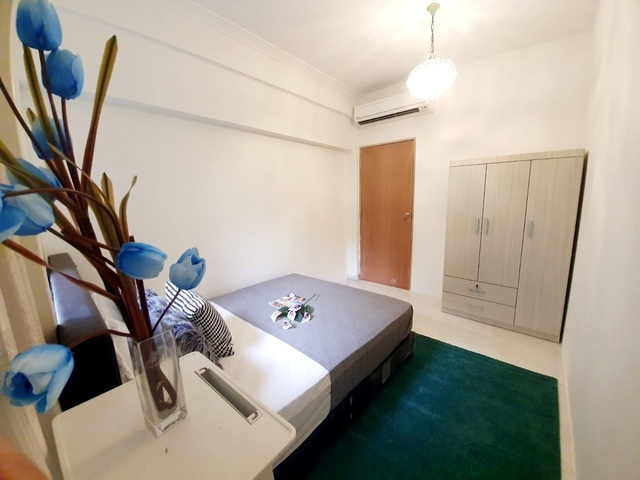 Tiong Bahru MRT - Full Funrish Big Queen Room for Rent