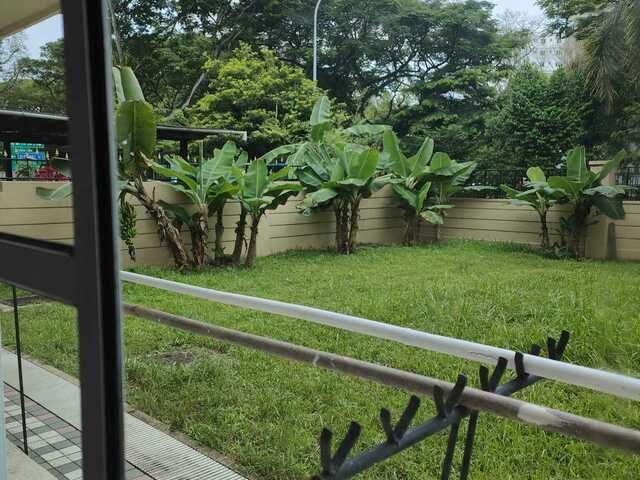 Quiet Neighborhood - Single Room for Rent . lentor MRT TE5