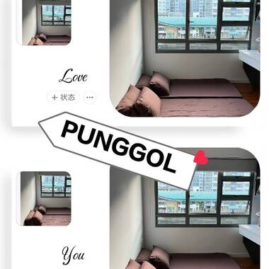 SUPERB convenience 👍🏻🌹🌷🙏🏻 DAMAI LRT 1 minute walk, PUNGGOL MRT PURPLE LINE. GRAB NOW