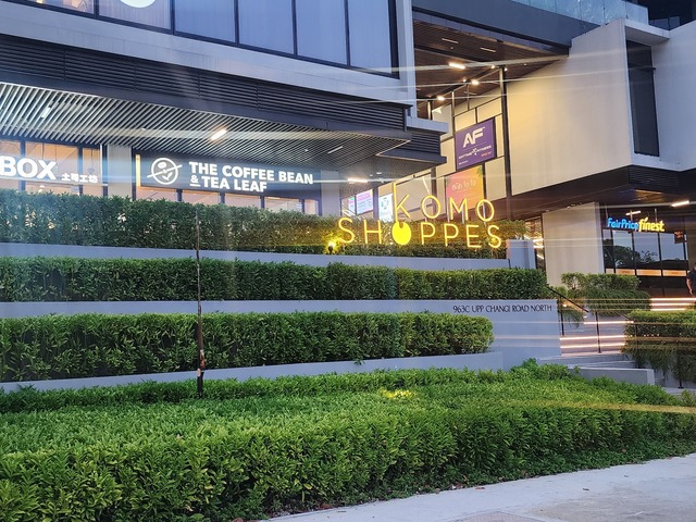 Huge Master Bedroom for rent in Changi Area