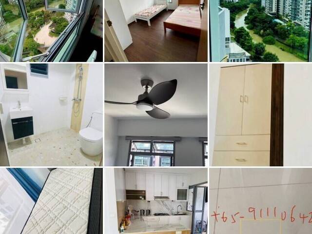 Punggol Oasis Mall Female Shared room $550 PUB & Aircon