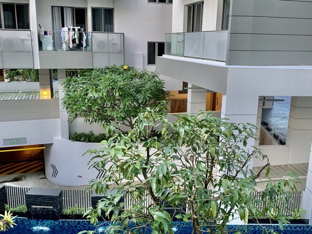 Pool View Condo Room (D8)