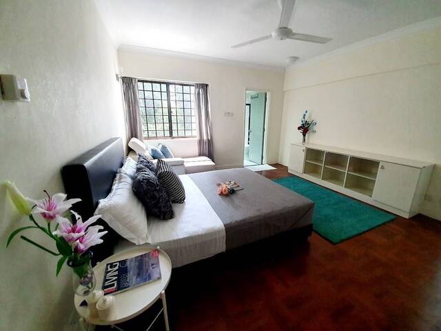 Near Tiong Bahru MRT - Big Master Room for Rent - CBD Area