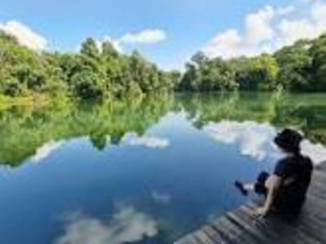 Big and quiet room for rent in a exclusive and beautiful private estate immediately move in -No fees