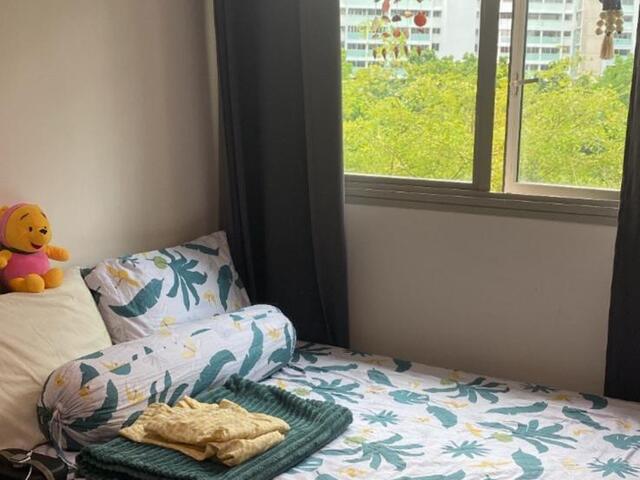 Room rent for cabin crew/females only