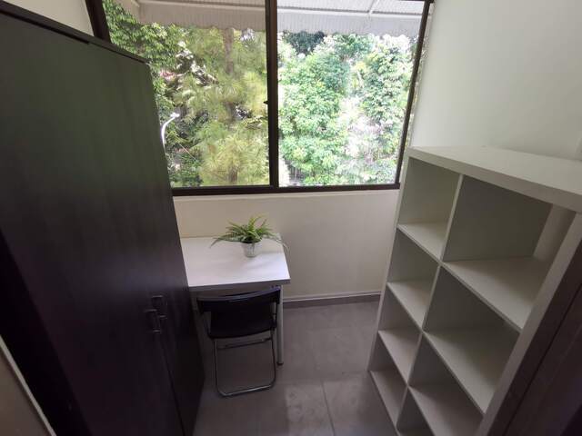 Cavenagh Garden - Common Room/no Owner Staying/No Agent Fee/Furnished